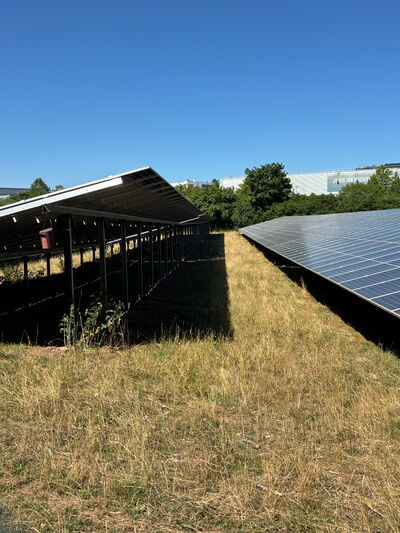 Solaranlage auf Feld in Tübingen